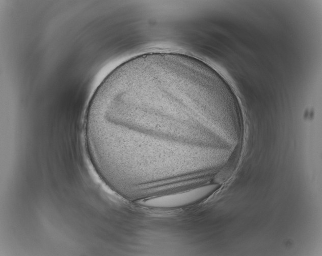 X0000111121440200907211040