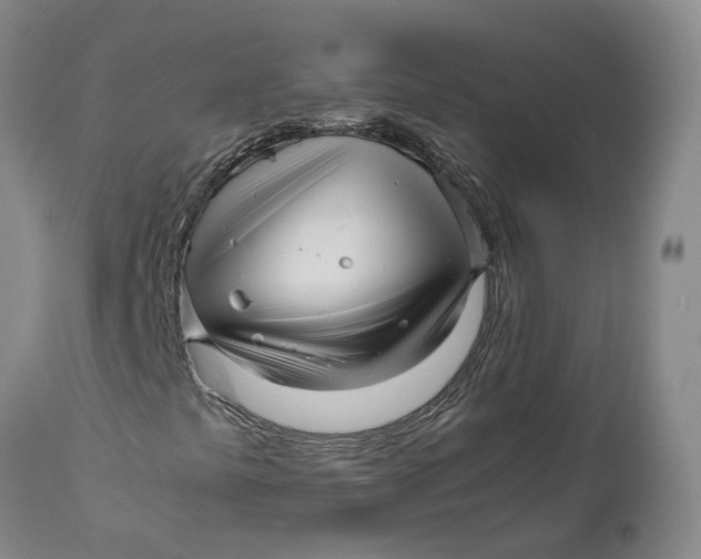 X0000111121441200907211039