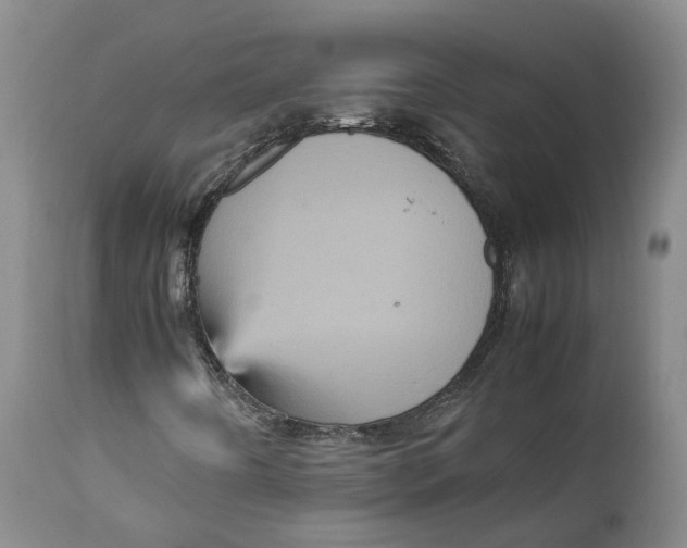 X0000111121442200907211039