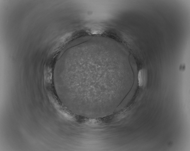 X0000111121443200907211039