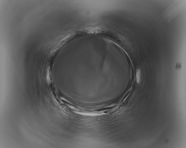 X0000111121444200907211039