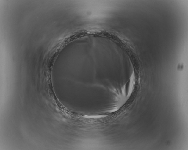 X0000111121445200907211039