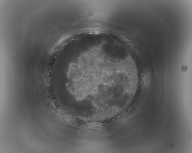 X0000111121446200907211039