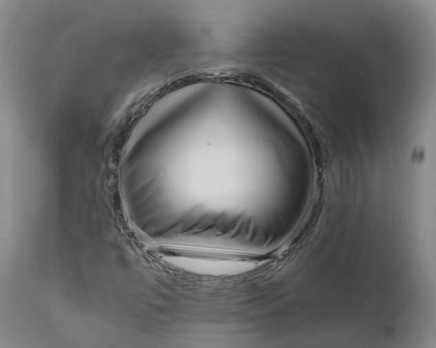 X0000111121447200907211039