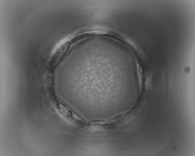 X0000111121448200907211039