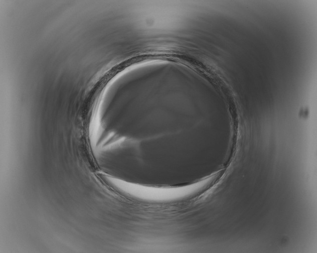 X0000111121449200907211039