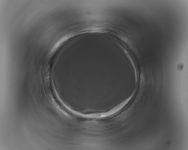 X0000111121450200907211039