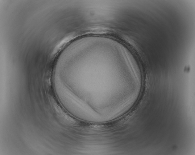 X0000111121451200907211039