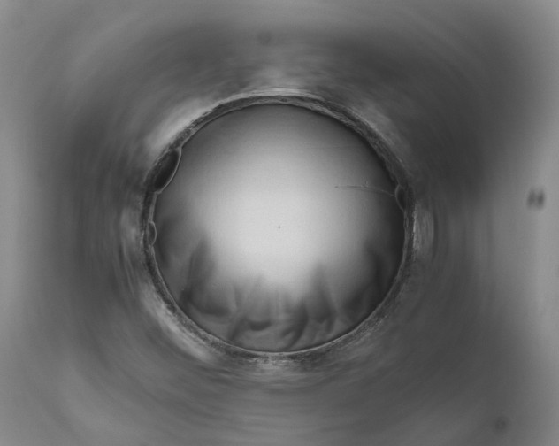 X0000111121452200907211039