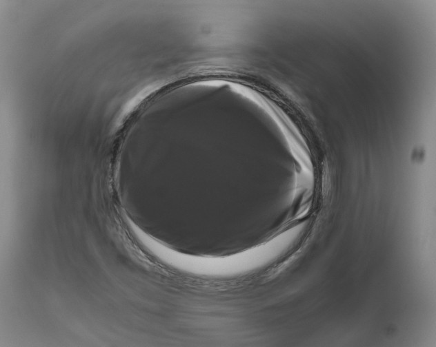 X0000111121453200907211039