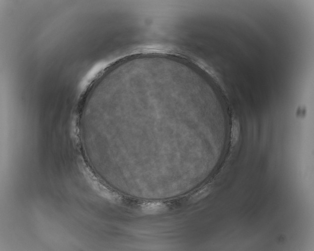 X0000111121454200907211039