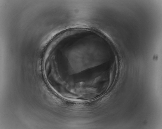 X0000111121455200907211039