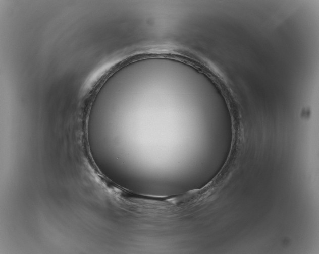 X0000111121456200907211039