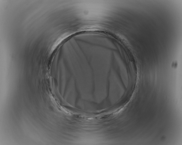 X0000111121457200907211039