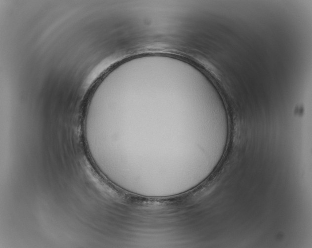 X0000111121458200907211039