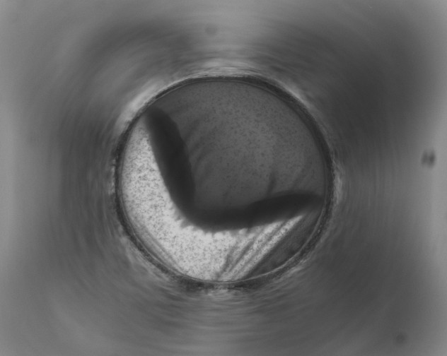 X0000111121459200907211039