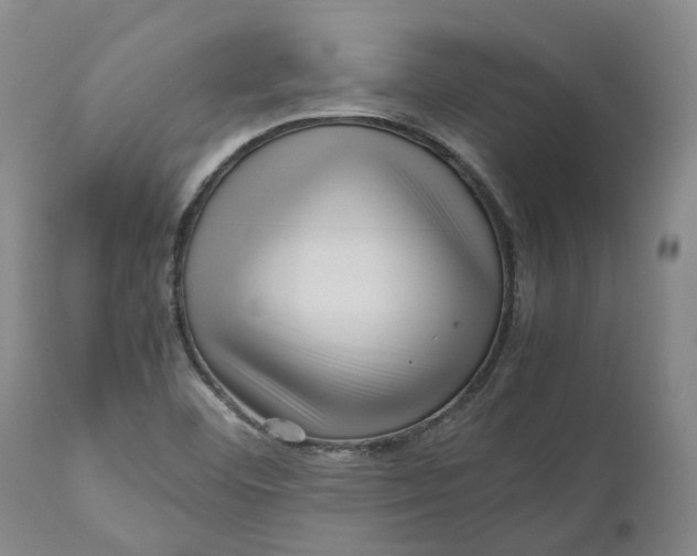 X0000111121460200907211039