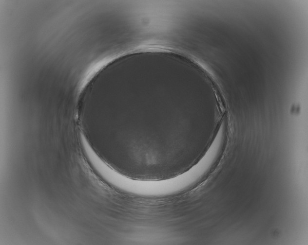 X0000111121461200907211039