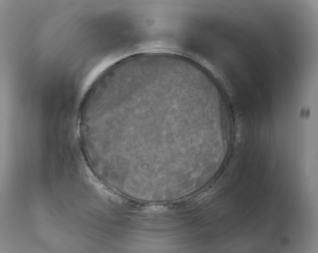 X0000111121462200907211039