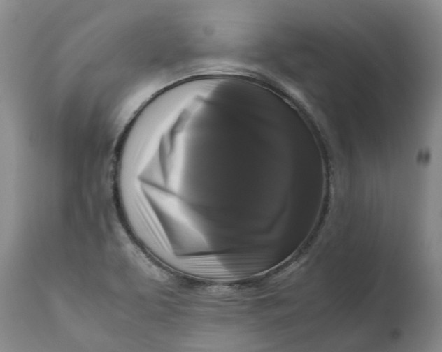 X0000111121463200907211039