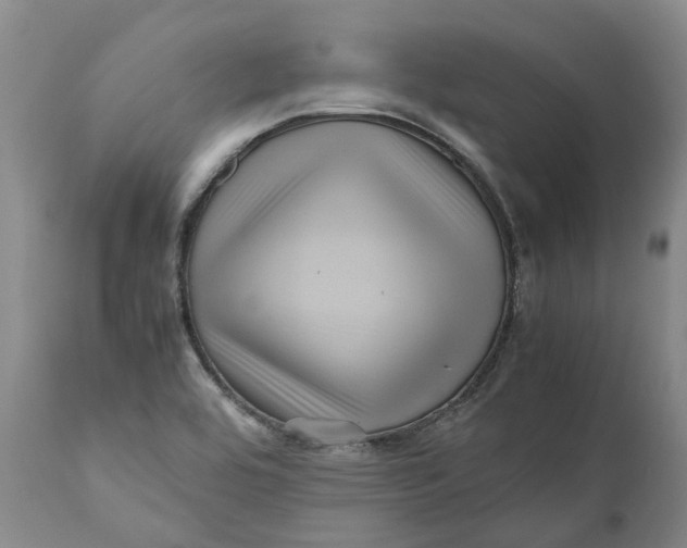 X0000111121464200907211039