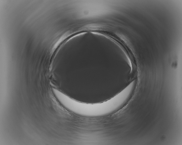 X0000111121465200907211039