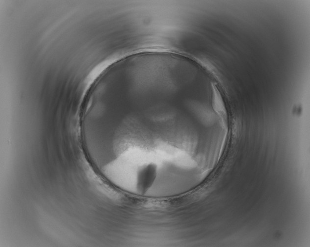 X0000111121466200907211039