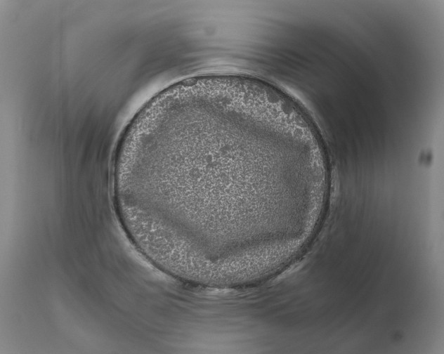 X0000111121467200907211039