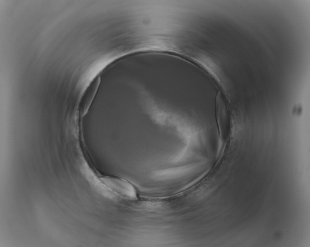 X0000111121468200907211039