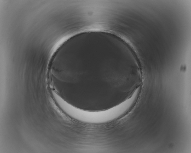 X0000111121469200907211039