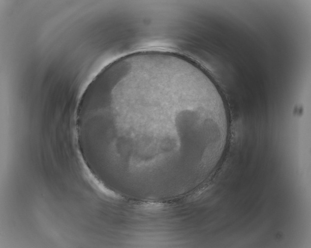 X0000111121470200907211039