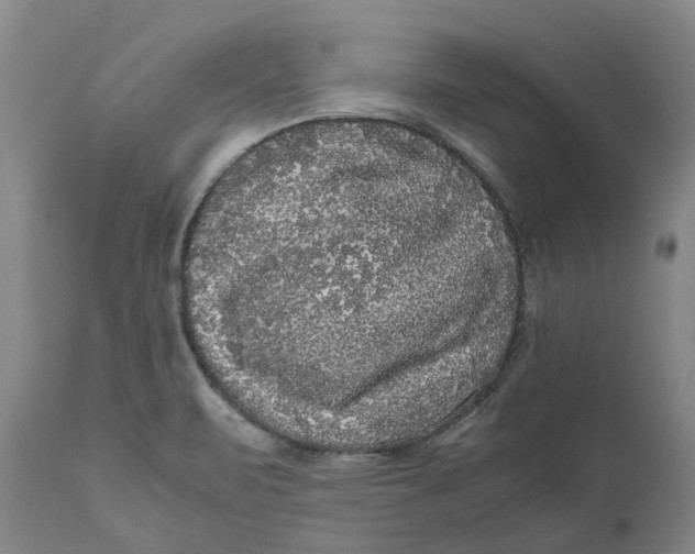 X0000111121471200907211039