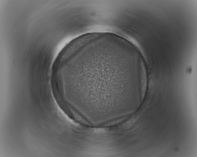 X0000111121472200907211039