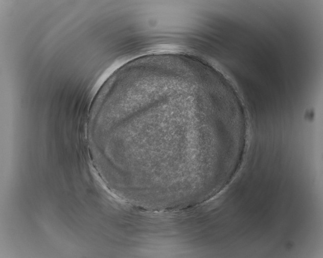 X0000111121473200907211039