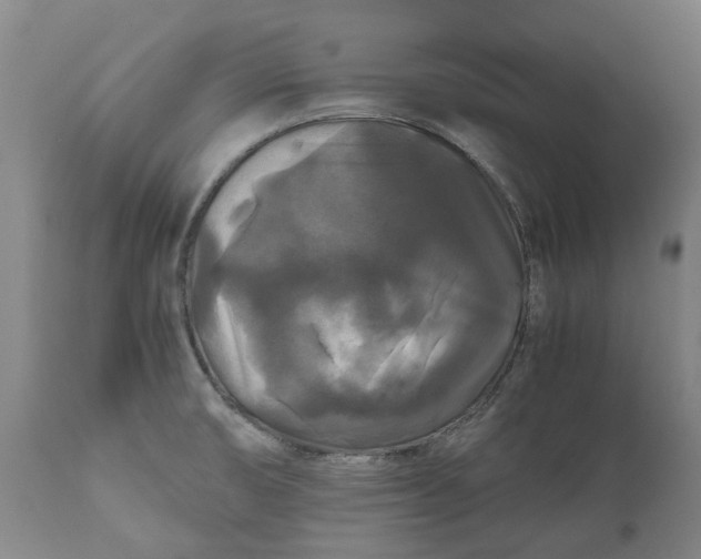 X0000111121474200907211039