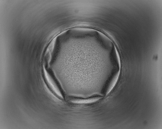 X0000111121475200907211039