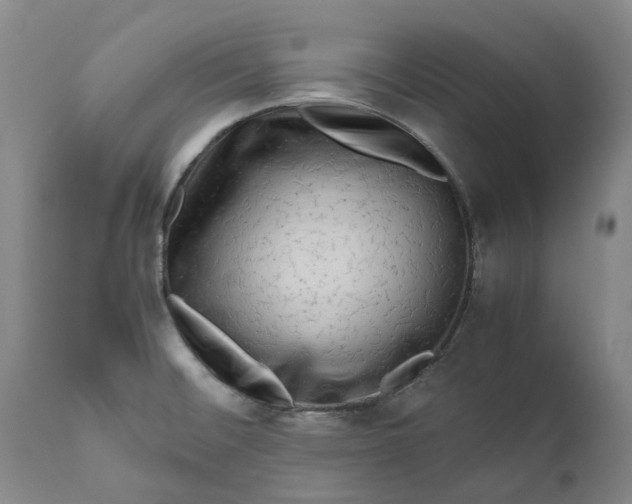 X0000111121476200907211039