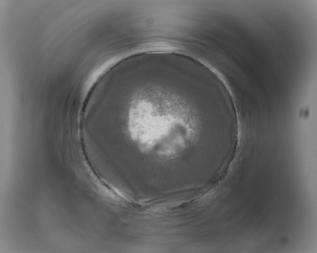 X0000111121477200907211039