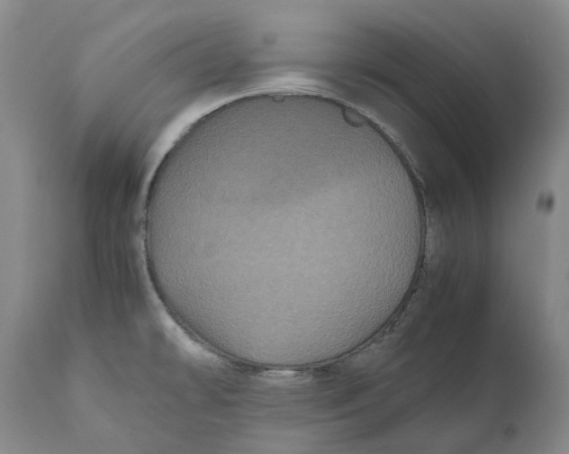 X0000111121478200907211039