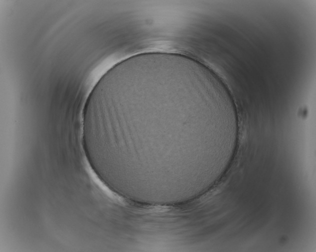 X0000111121479200907211039