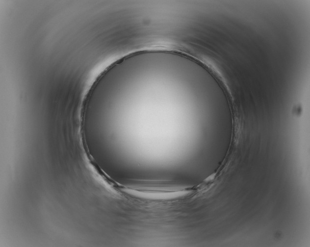 X0000111121480200907211039