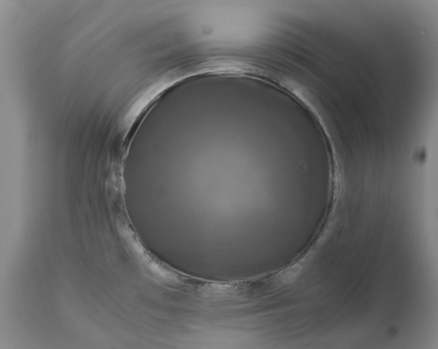 X0000111121481200907211039