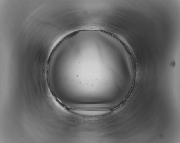 X0000111121484200907211038