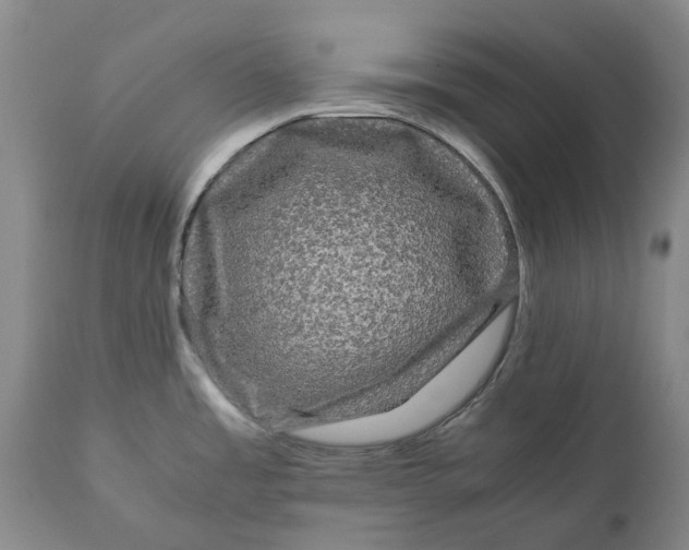 X0000111121485200907211038