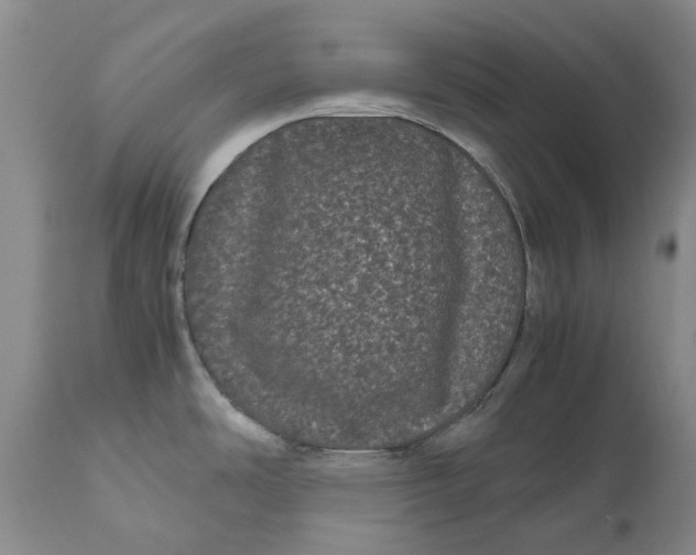 X0000111121486200907211038