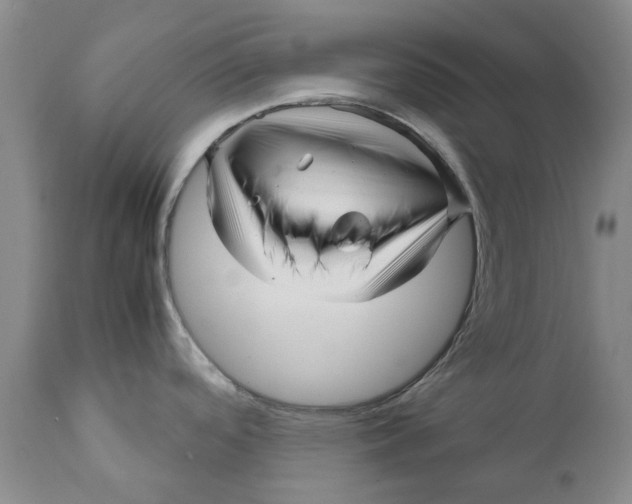 X0000111121488200907211038