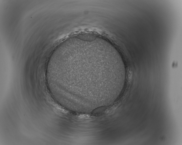 X0000111121489200907211038