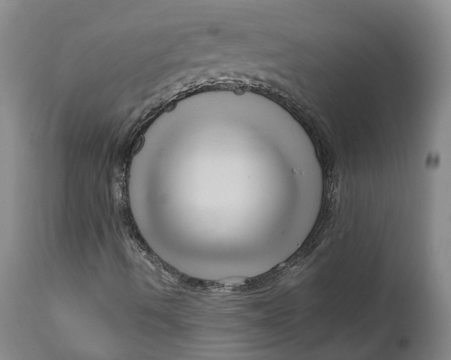 X0000111121490200907211038