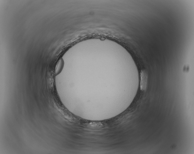 X0000111121491200907211038