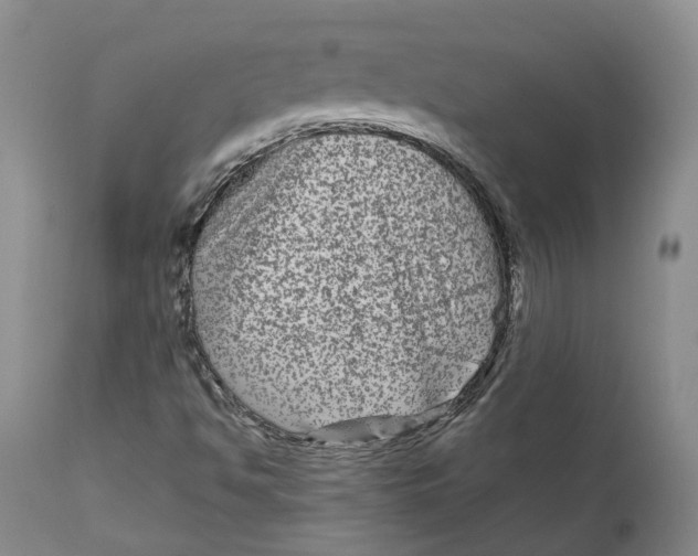 X0000111121494200907211038